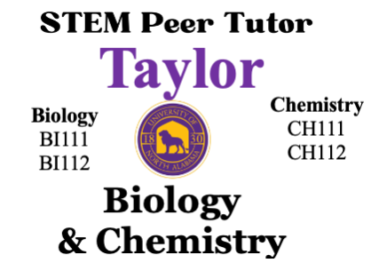 nametag3.png