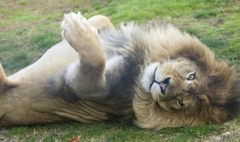 Are you thinking about taking an online course?  Find out if online education is for you.