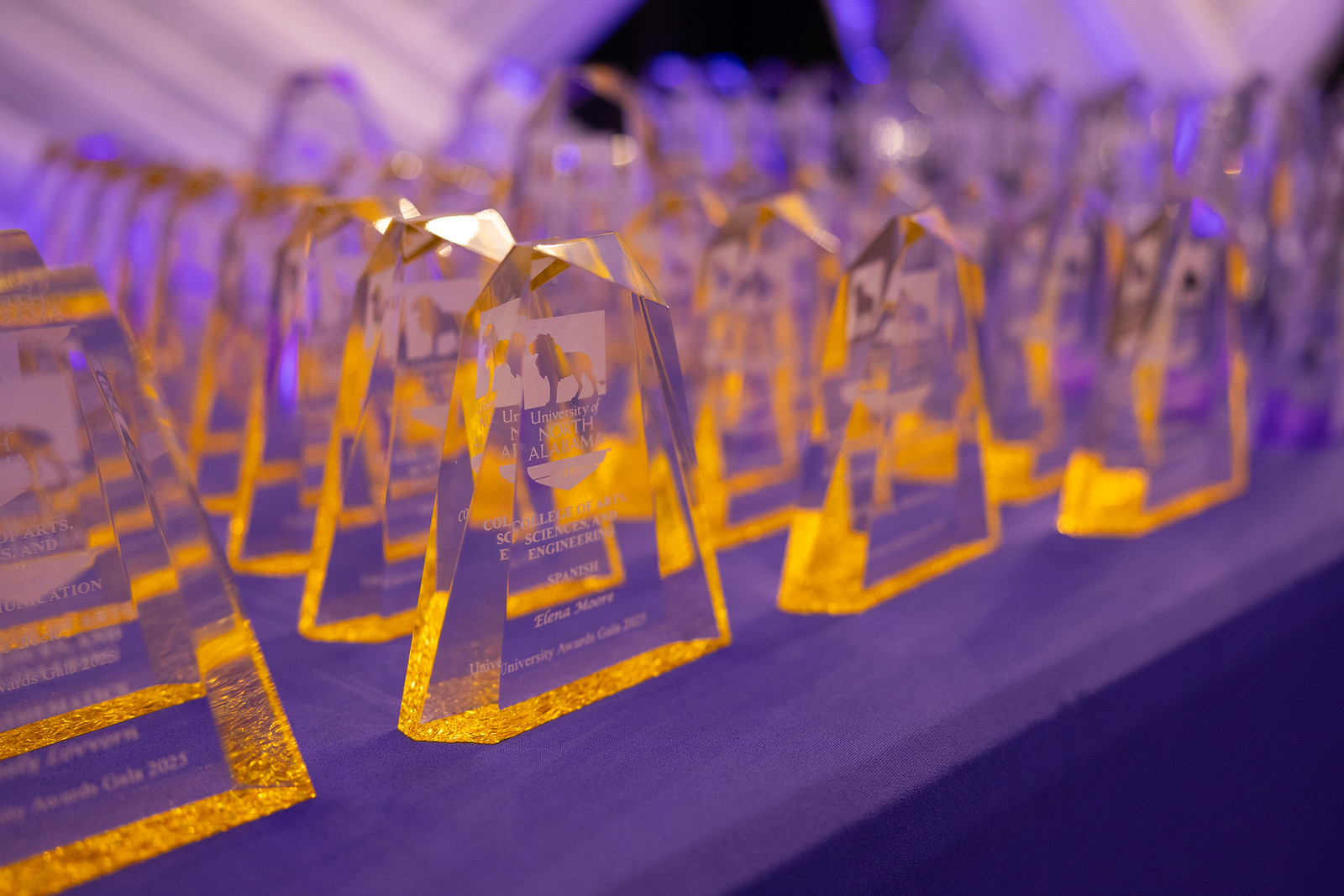 Awards & Recognition